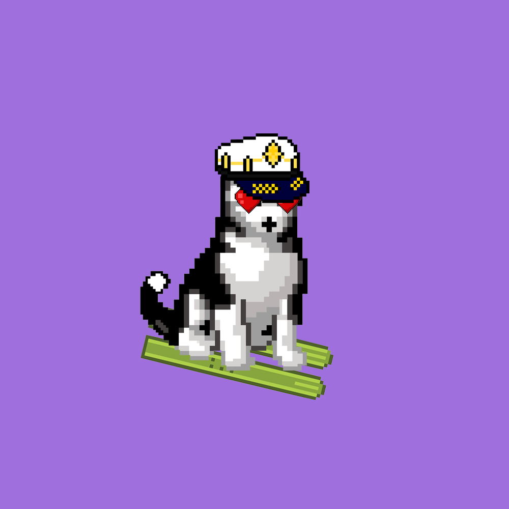 Hilarious Huskies 35