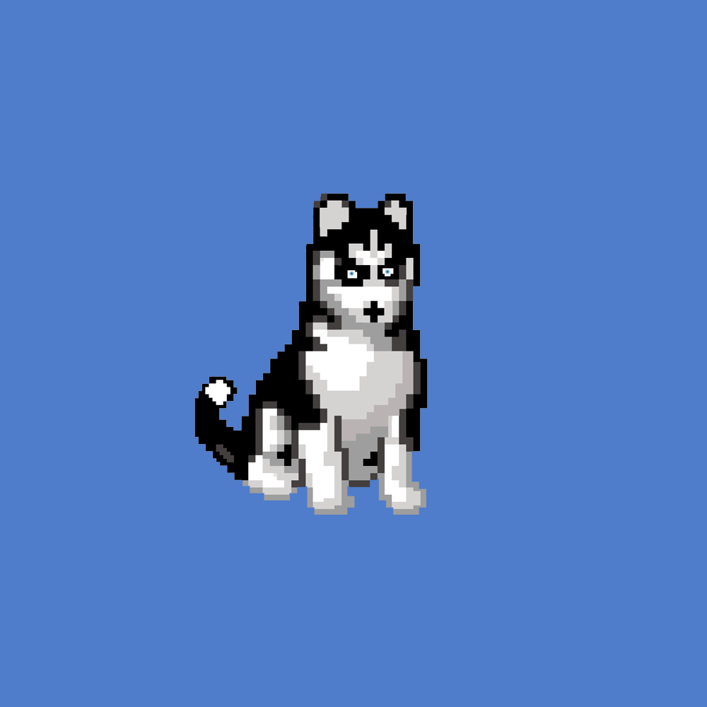 Hilarious Huskies 97